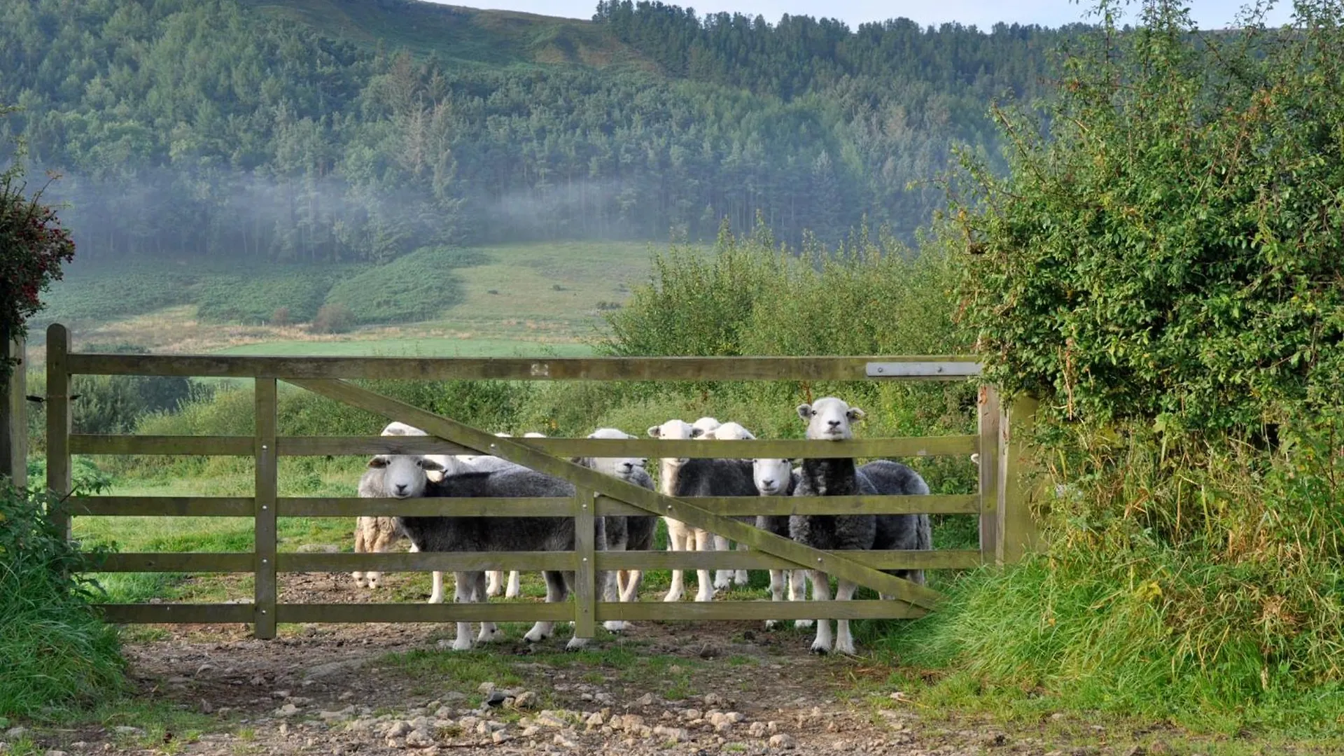 בית נופש מידלסבורו Sheep Cote Shepherds Hut